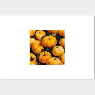 Pumpkin Pattern 16 Posters and Art